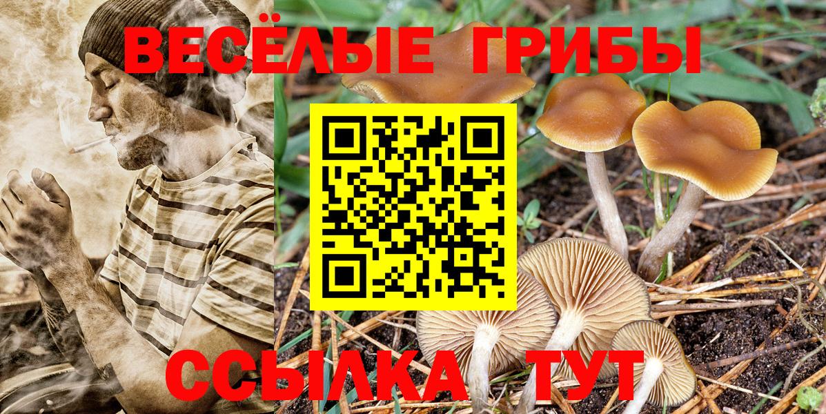 Тавда  Галлюциногенные грибы GOLDEN TEACHER  Вход с VPN 
