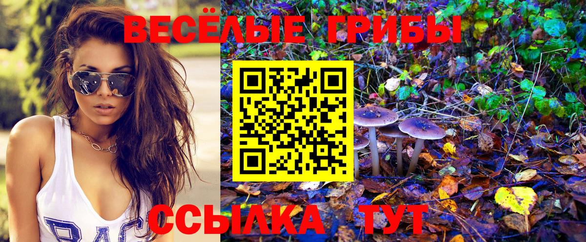 Галлюциногенные грибы Magic Shrooms Тавда